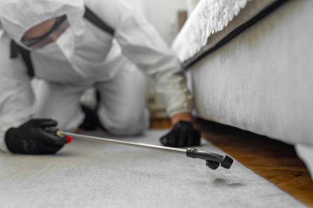 Professional Bed Bug Control technician working in Hunterdon County County, NJ